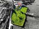 Annonce Vente Maison VILA-VICOSA