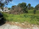 Annonce Vente Terrain RIO-MAIOR