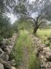 Acheter Terrain FARO r�gion FARO