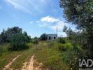 Annonce Vente Terrain LOULE