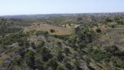 Acheter Terrain VILA-NOVA-DE-CACELA r�gion FARO