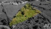 Vente Terrain CADAVAL 2550