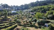 Annonce Vente Maison CELORICO-DE-BASTO