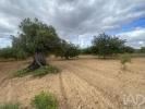 Acheter Terrain 4664 m2 LOULE