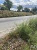Acheter Terrain LOULE r�gion FARO