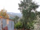 Annonce Vente Terrain SEIA