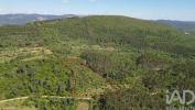 Annonce Vente Terrain ANSIAO