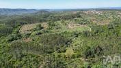 Acheter Terrain 5560 m2 ANSIAO