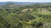 Acheter Terrain ANSIAO r�gion LEIRIA