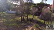 Acheter Terrain LOULE r�gion FARO