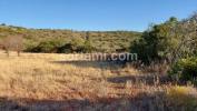 Acheter Terrain ALBUFEIRA r�gion FARO