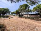 Annonce Vente Terrain LOULE