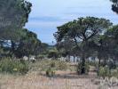 Acheter Terrain 890 m2 LOULE