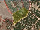 Acheter Terrain 32767 m2 BENAVENTE