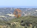 Acheter Terrain 32767 m2 VILA-REAL-DE-SANTO-ANTONIO