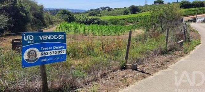 Annonce Vente Terrain Torres-vedras