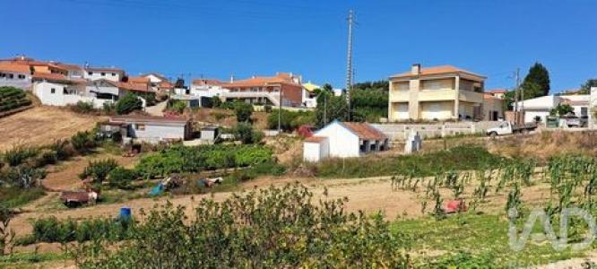 Acheter Terrain 3080 m2 Torres-vedras