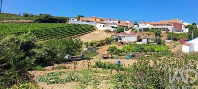 Acheter Terrain Torres-vedras r�gion LISBOA