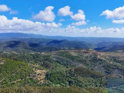 Annonce Vente Terrain Odemira