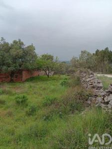 Acheter Maison 87 m2 Alcobaca
