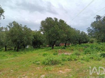 Acheter Maison Alcobaca r�gion LEIRIA