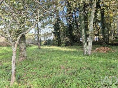 Acheter Terrain 1480 m2 Santa-maria-da-feira