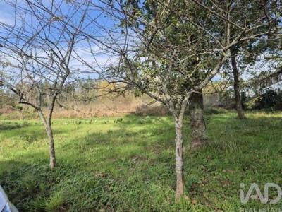 Acheter Terrain Santa-maria-da-feira r�gion AVEIRO