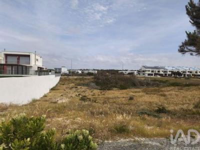 Annonce Vente Terrain Alcobaca
