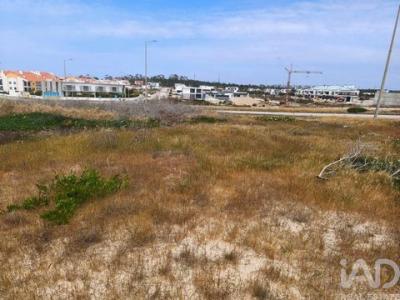 Acheter Terrain Alcobaca r�gion LEIRIA