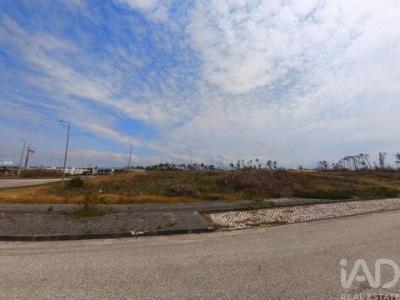 Acheter Terrain 2309 m2 Alcobaca