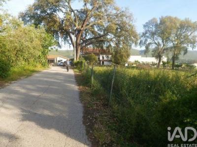Annonce Vente Terrain Porto-de-mos