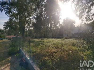 Acheter Terrain Porto-de-mos r�gion LEIRIA