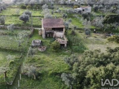 Annonce Vente Maison Figueiro-dos-vinhos