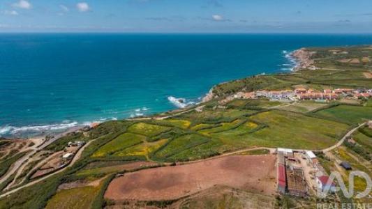 Acheter Terrain 32767 m2 Torres-vedras
