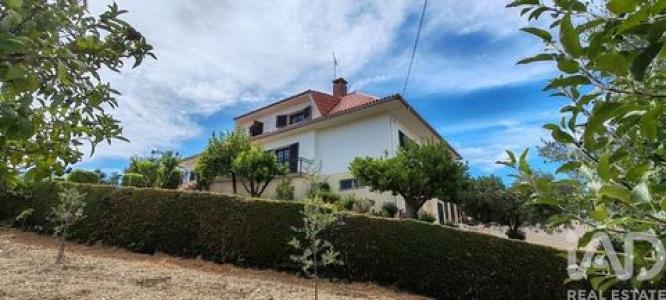 Acheter Maison Proenca-a-nova r�gion CASTELO-BRANCO