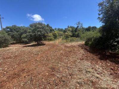 Acheter Terrain 297 m2 Loule