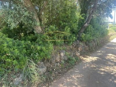 Acheter Terrain Loule r�gion FARO