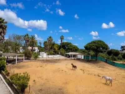 Annonce Vente Maison Loule