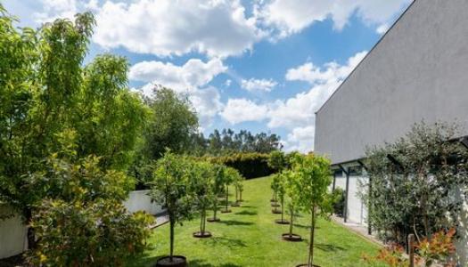 Acheter Maison Ribeirao