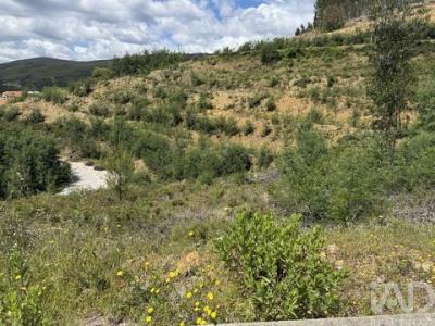 Annonce Vente Terrain Castanheira-de-pera