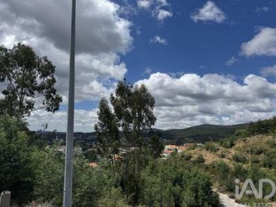 Acheter Terrain 1591 m2 Castanheira-de-pera