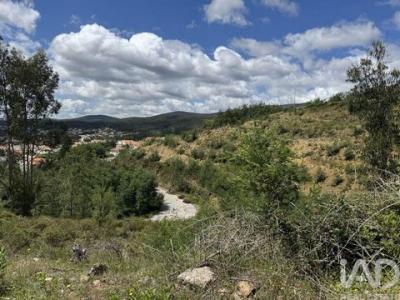 Acheter Terrain Castanheira-de-pera r�gion LEIRIA