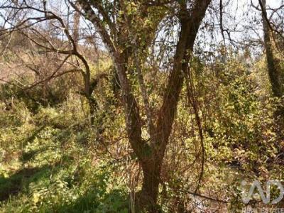 Annonce Vente Terrain Ourem