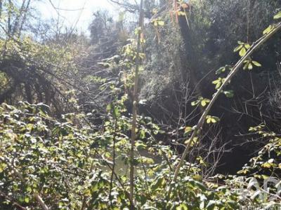 Acheter Terrain Ourem r�gion SANTAREM