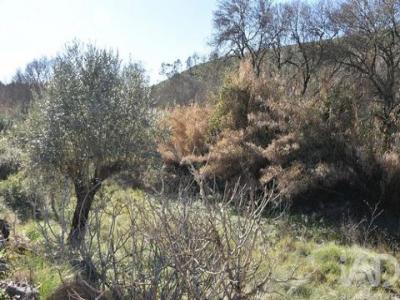 Annonce Vente Terrain Ourem