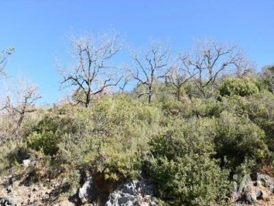 Acheter Terrain 2840 m2 Ourem