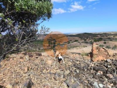 Acheter Terrain 40 m2 Castro-marim