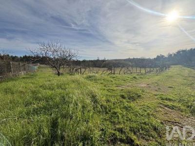 Acheter Terrain 25322 m2 Coimbra