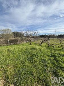 Acheter Terrain Coimbra r�gion LEIRIA
