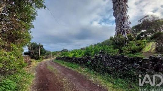 Annonce Vente Terrain Lajes-do-pico